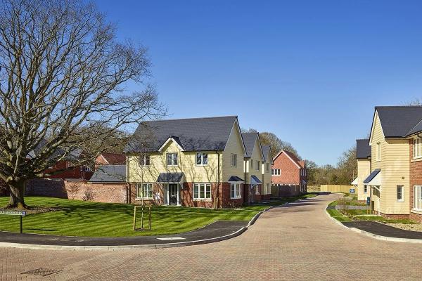The Woodlands